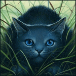 http://cats-warriorsforest.narod.ru/images/bluestar.png